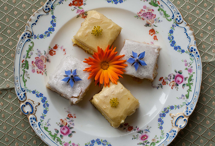 plate-with-treats.jpg