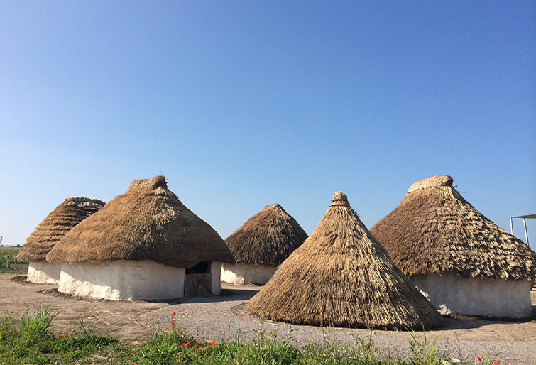 Neolithic-Houses-blue-sky-hig-res.jpg