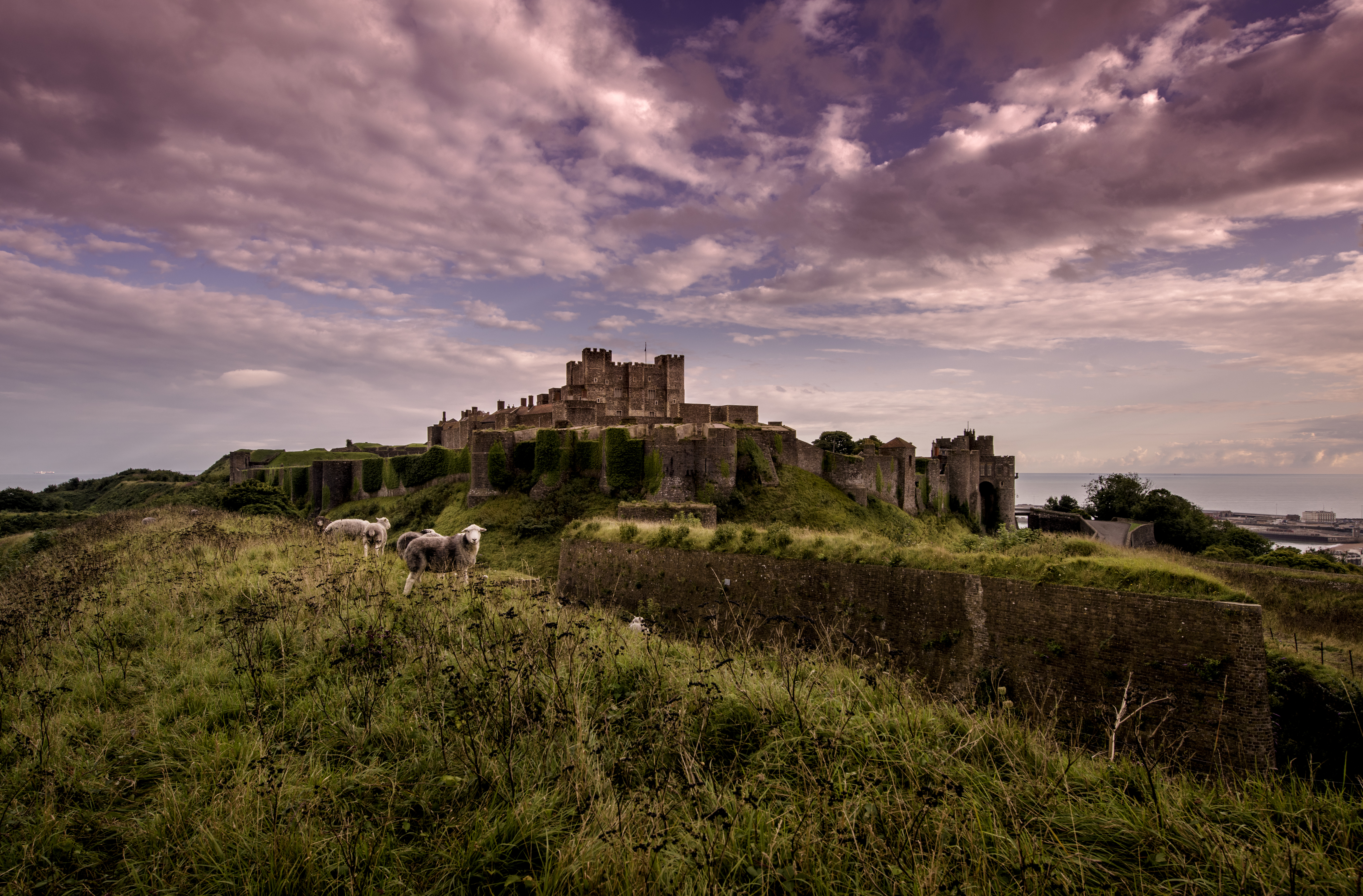 CONSERVATION GRAZING