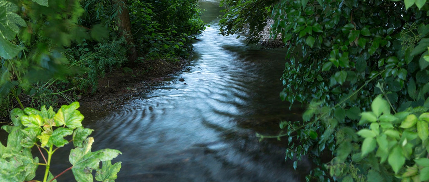 View of a section of river through woodland. 