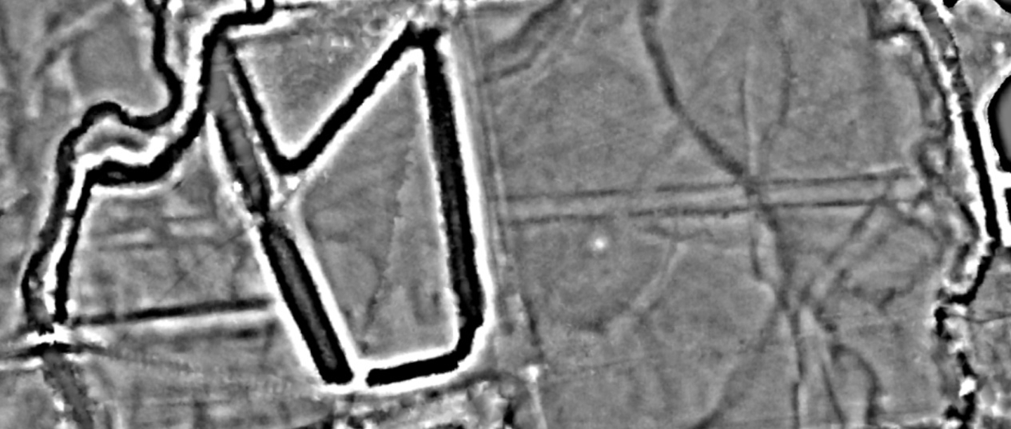 A black and white LiDAR image of two fields. It shows a strong black line running around the edge of the field on the right and faint black lines from the top to the bottom of the right field.