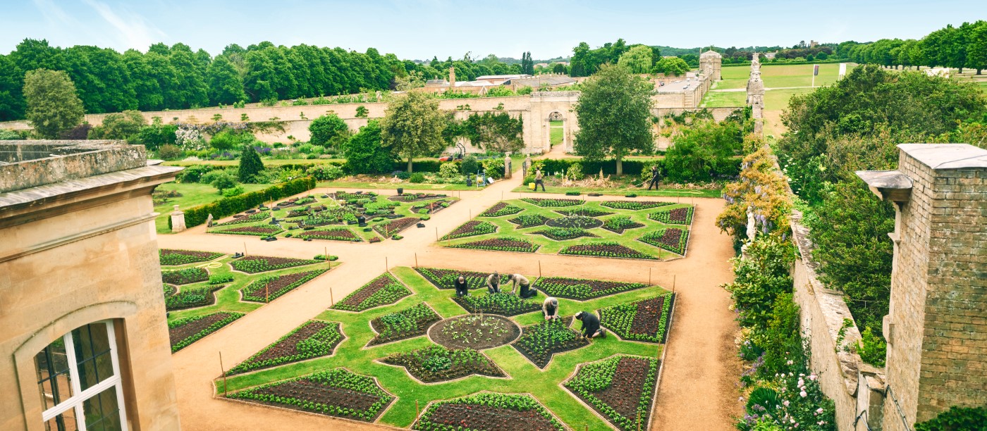 Image: The gardening team at Wrest Park planting the parterre gardens 