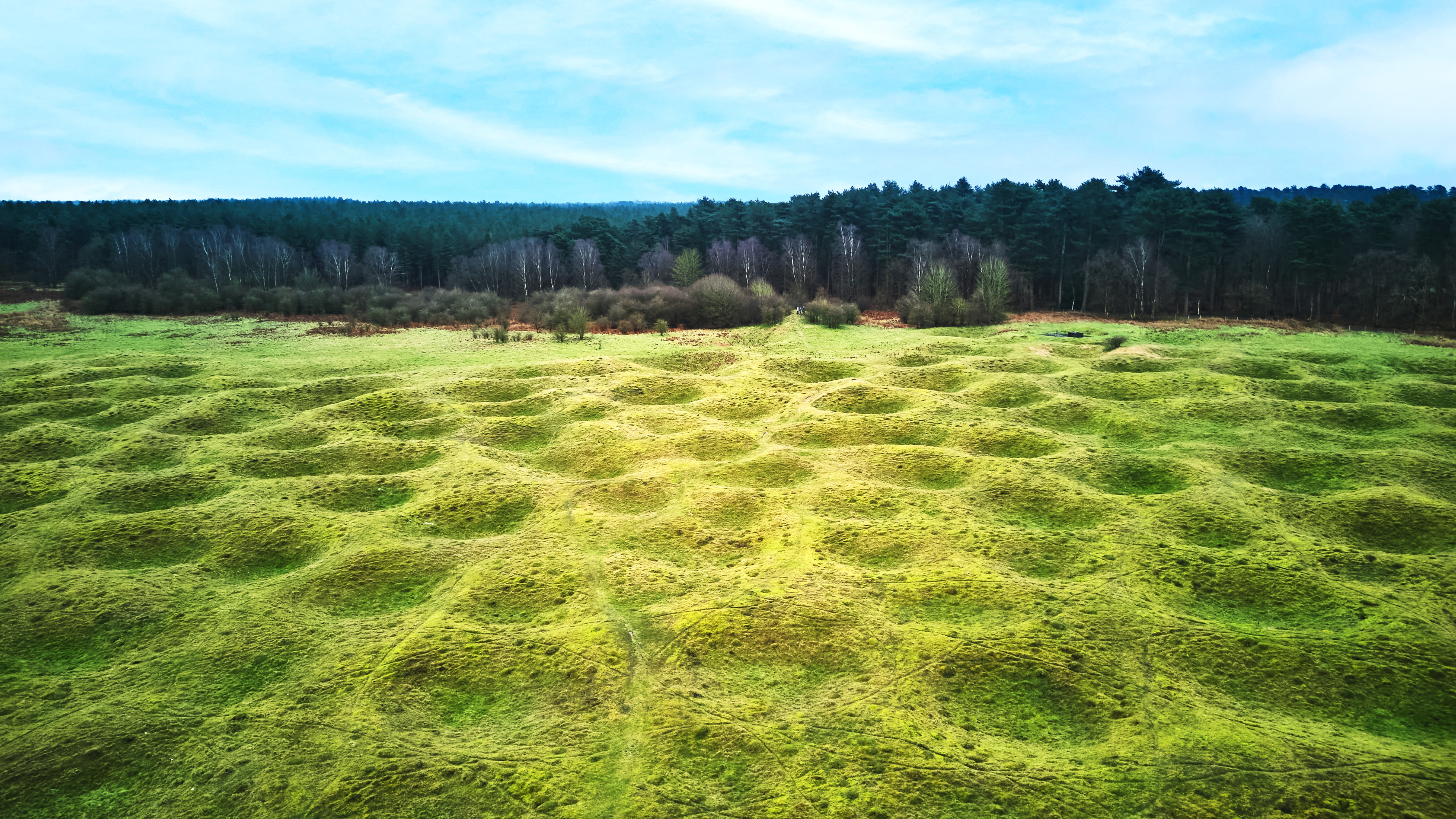 Photo of a field of covered-over mineshafts at Grime's Graves in Norfolk