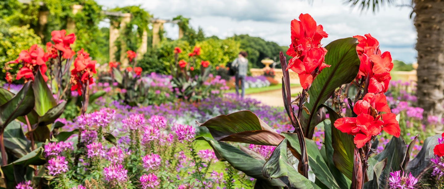 Image: terrace at Osborne