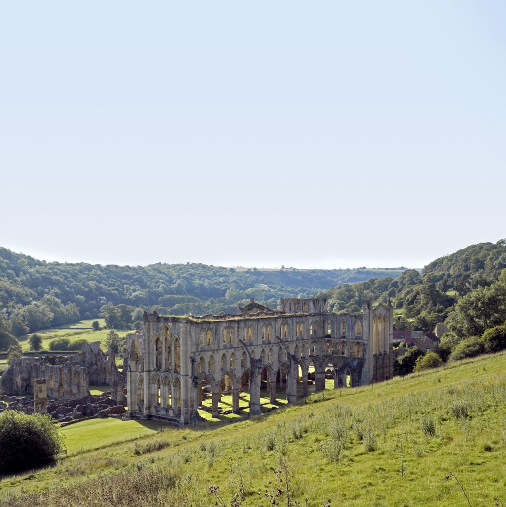 Photo of the remains of Rievaulx Abbey set in a forested valley on a sunny day