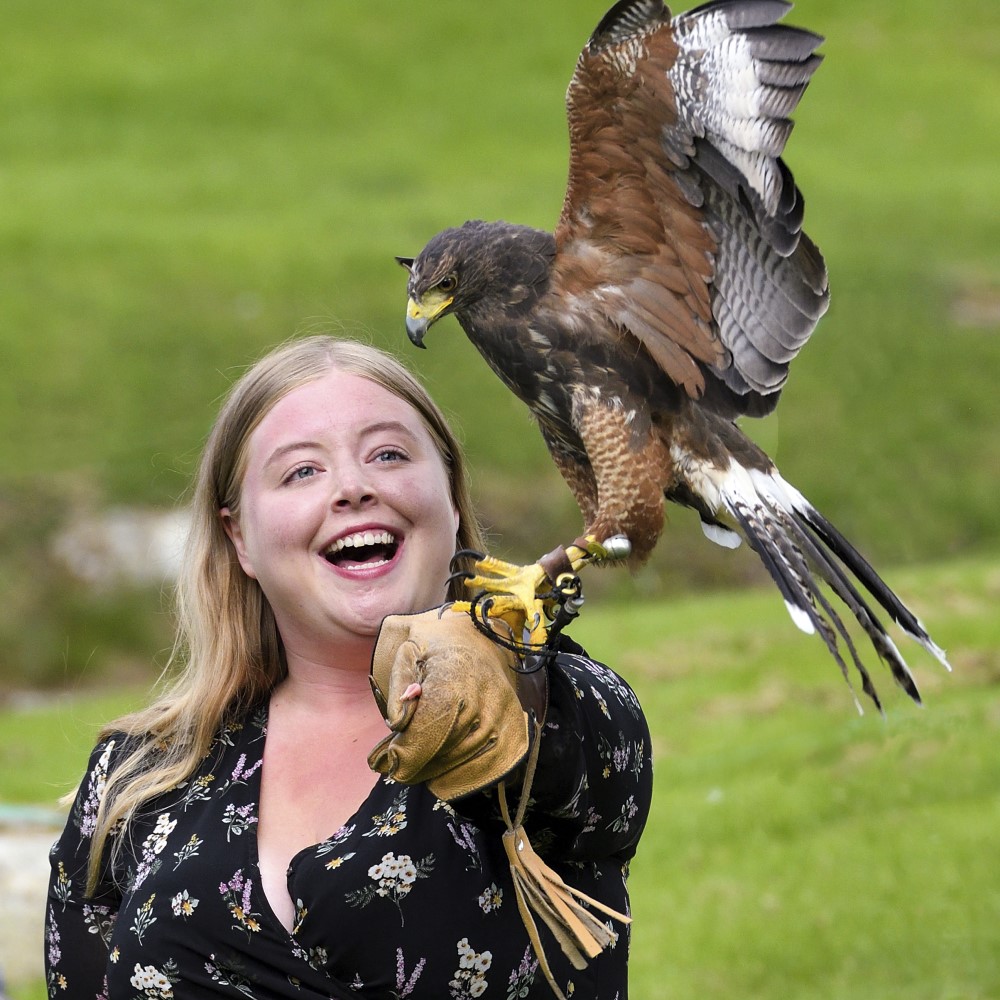 Photo of a visitor holding a bird of prey on a falconry glove