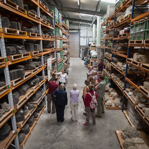 Image: Helmsley Archaeology Store