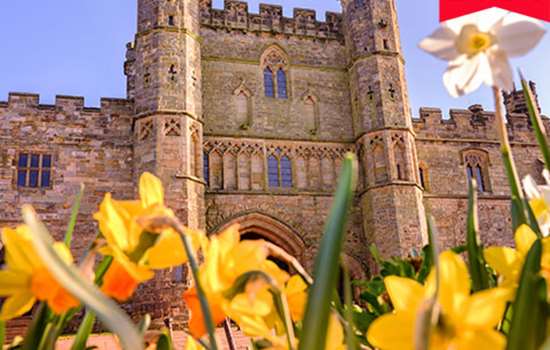 Image: daffodils outside Battle Abbey gatehouse
