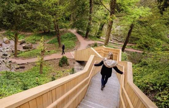 Photo of a person walking down a staircase running down through a woodland at Walmer Castle