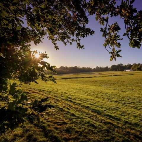 Photo of the battlefield where the Battle of Hastings was fought in 1066