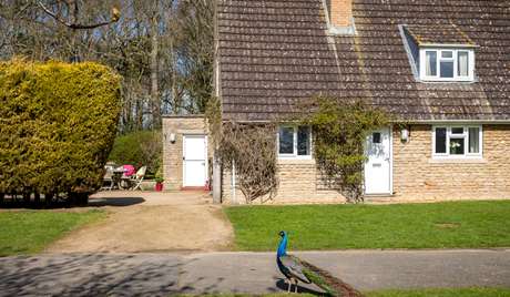 Exterior of Peacock Cottage Exterior of Peacock Cottage