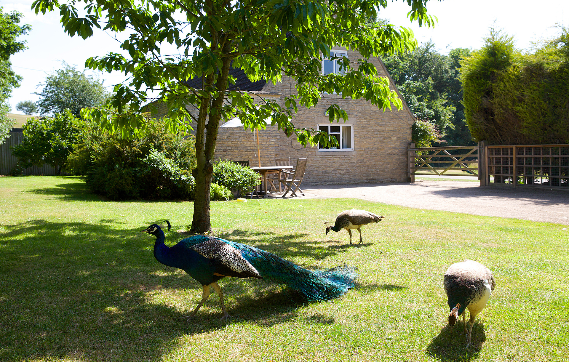 Garden with outdoor seating area