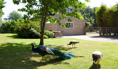 Garden with outdoor seating area Garden with outdoor seating area