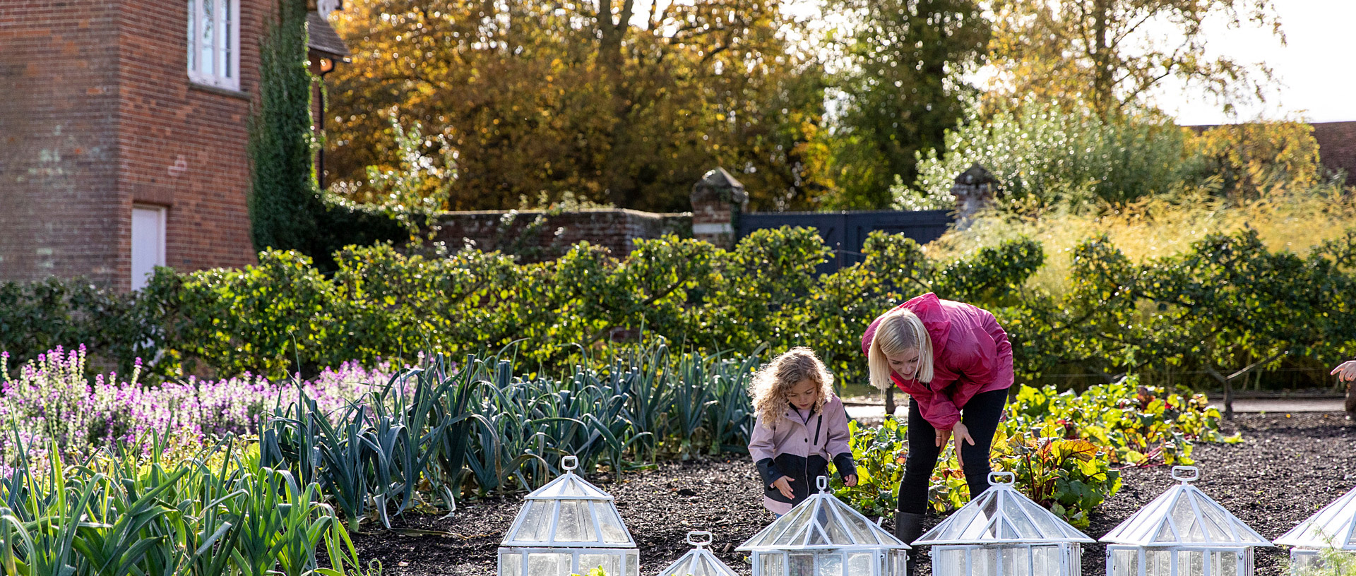 A woman and a young child lean over allotment gardens.
