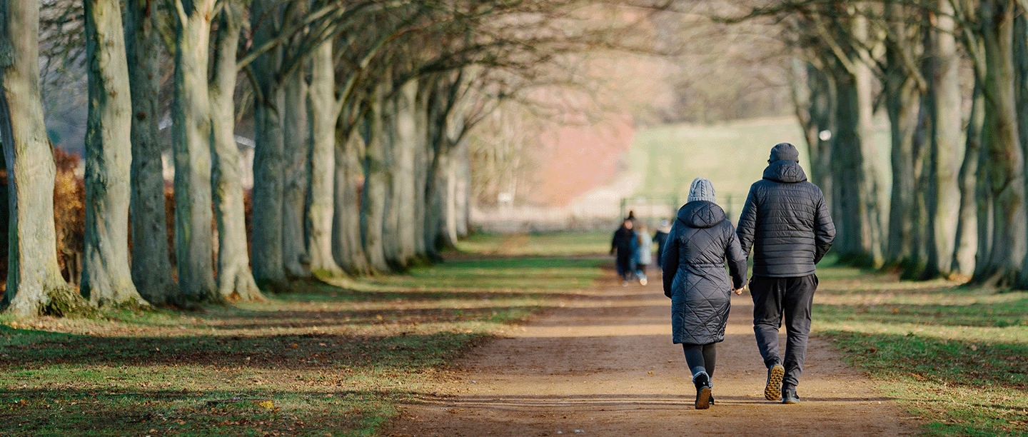 Photo of two people walking down an avenue of trees at Wrest Park in Bedfordshire in the winter
