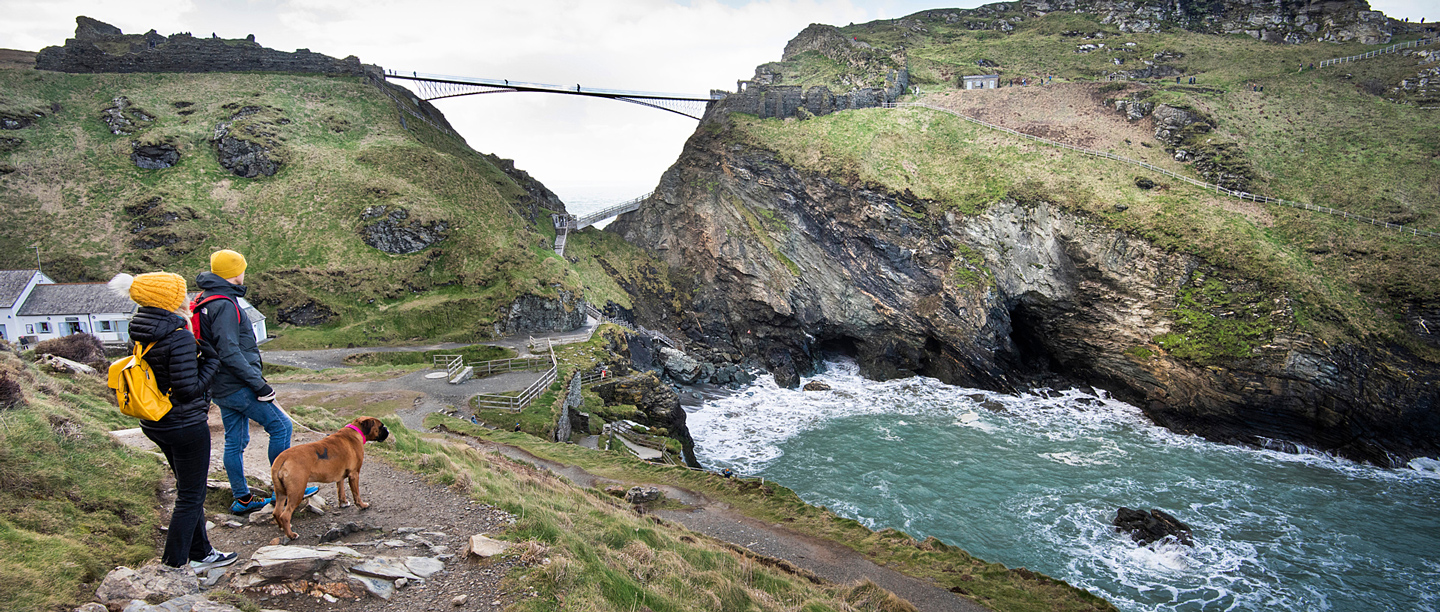 Two adults walking a dog on a lead look over at the sea at Tintagel Castle with the bridge in the background.