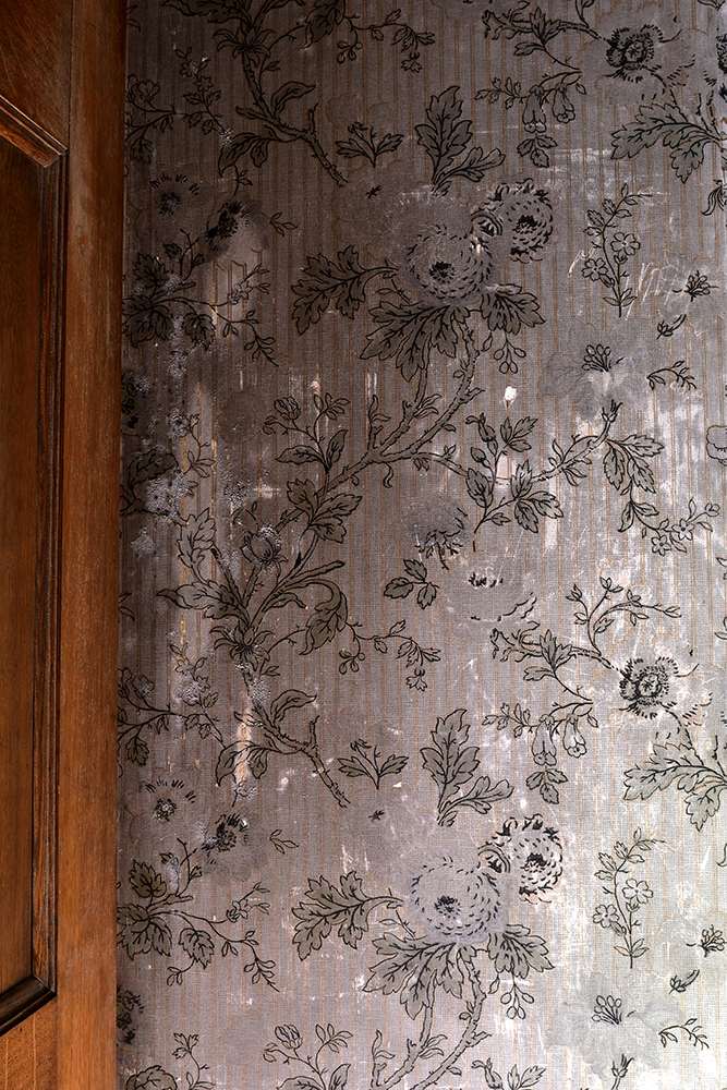 The Wallpapers of Belsay Hall | English Heritage