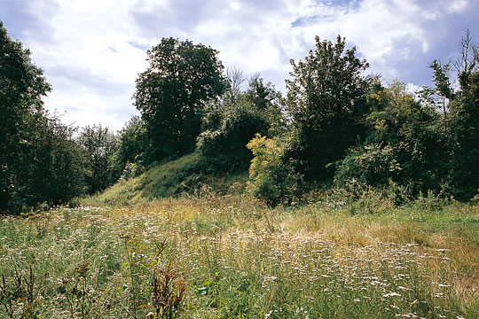 View across meadow grasses to rampart partially covered by trees and bushes