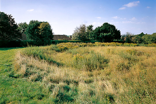 Flowerdown Barrows, seen from the south with housing in the background