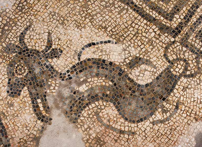 Sea bull mosaic