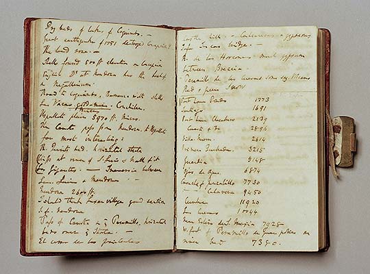 Two pages from one of Charles Darwin’s Beagle voyage notebooks with brass clip visible