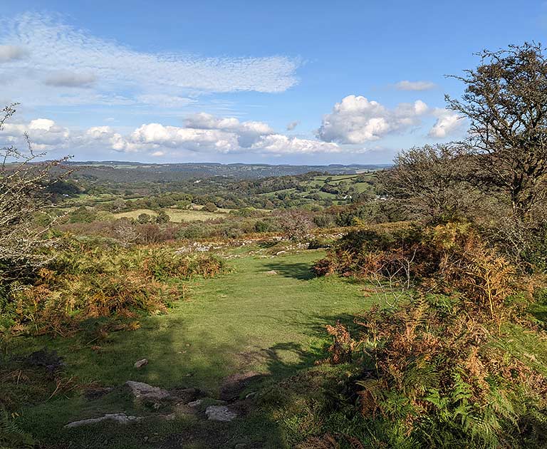 The village approach