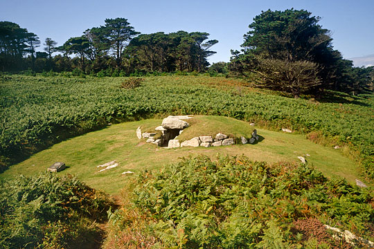 The substantial kerb and massive capstones of the Upper Burial Chamber, in a grassy clearing among the bracken