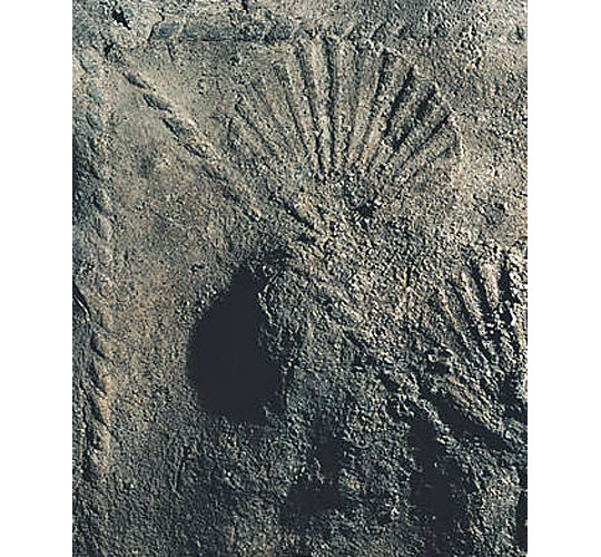 The scallop-shell decoration on the end of the lead coffin of the young man found in the mausoleum at Lullingstone Roman Villa
