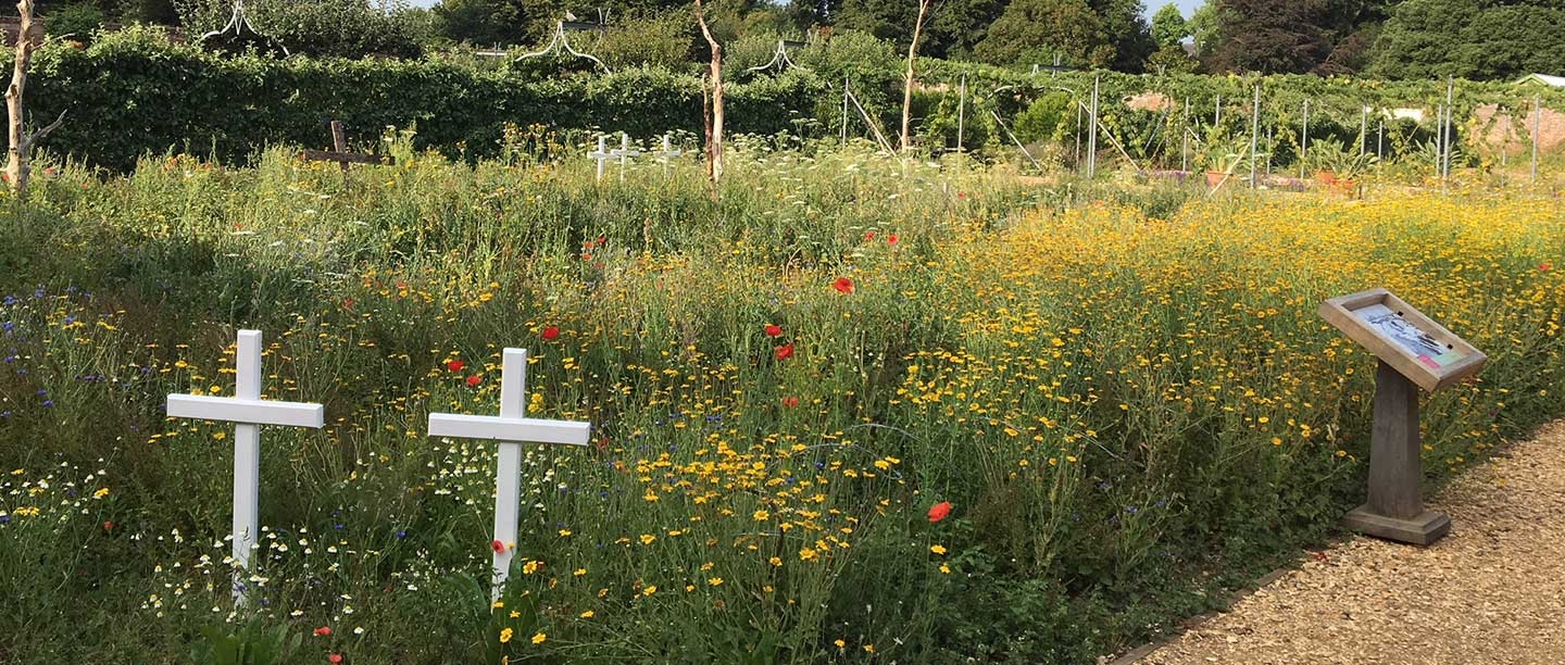 An informally planted flowerbed including wildflowers and two white wooden crosses.