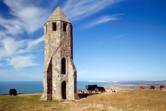 St Catherines Oratory with cattle grazing round and about wnd the sea below in the background