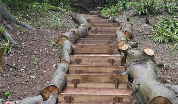 Edging to pathways in the Glen