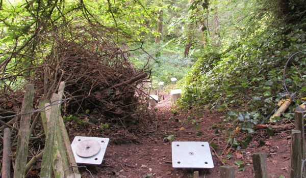 Pilings driven into the ground