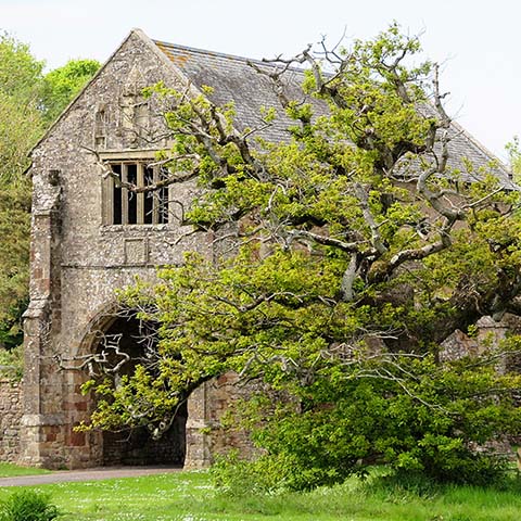 Cleeve Abbey