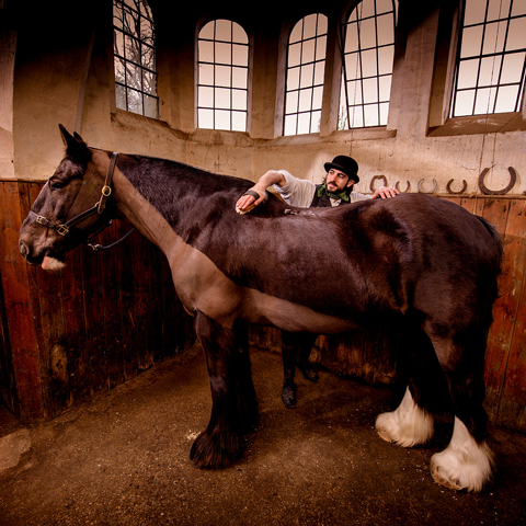 A man grooms a horse with a brush in Audley End stables.