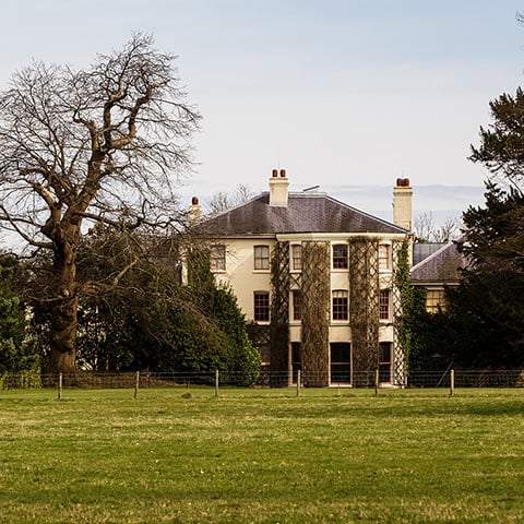 A grand house with ivy covered walls beyond a grass field