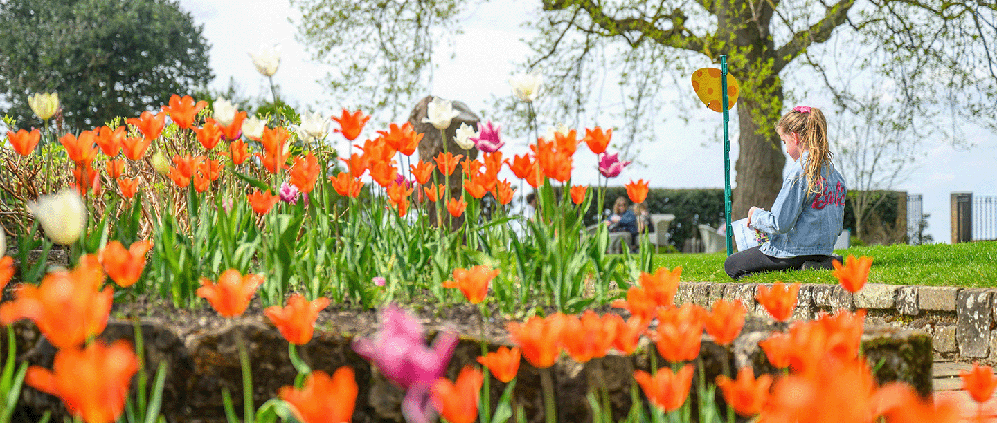 Photo of a young child kneeling and looking at an Easter Adventure Quest leaflet in the gardens of Eltham Palace in London