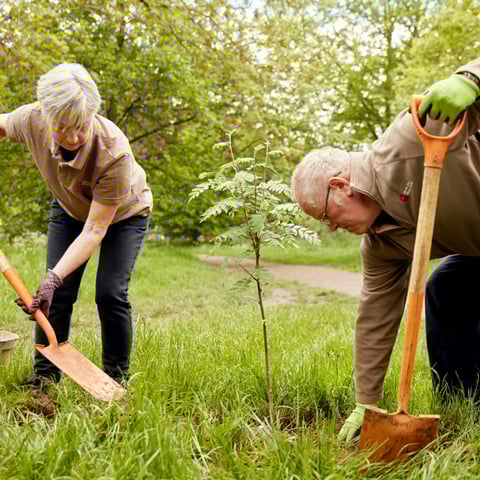 Two gardeners in English Heritage uniform use shovels to dig in the garden.