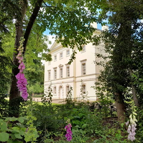 An exterior view of Marble Hill surrounded by greenery and purple flowers.