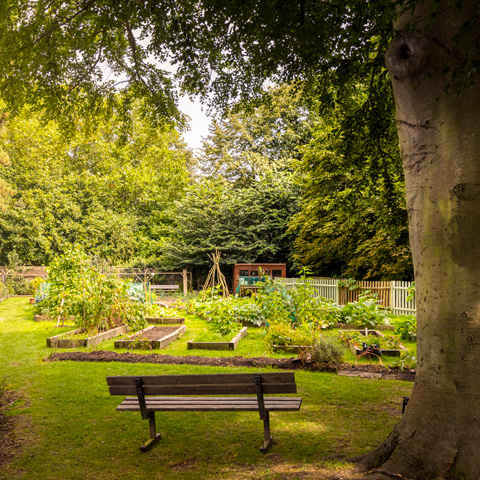 The kitchen garden at Marble Hill.