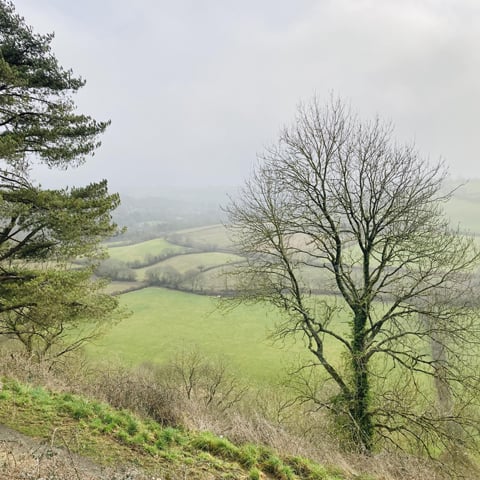 A view of the fields of Great Torrington on a foggy morning.