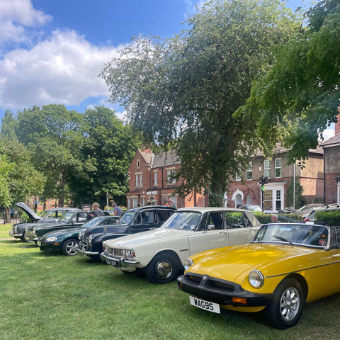 A variety of six different classic cars parked on a lawn on a sunny day.